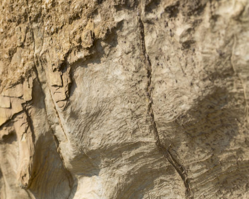 Rocce dal suolo