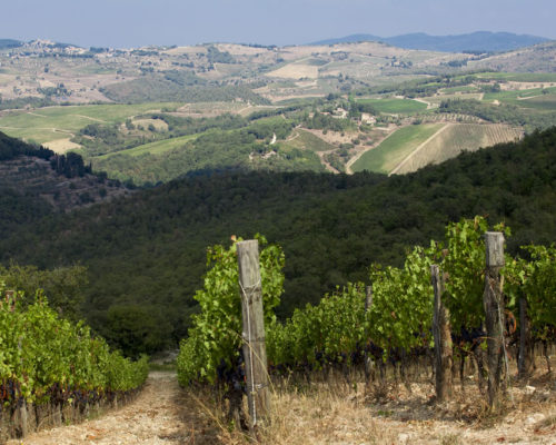 Vista su Panzano da Vigna Istine